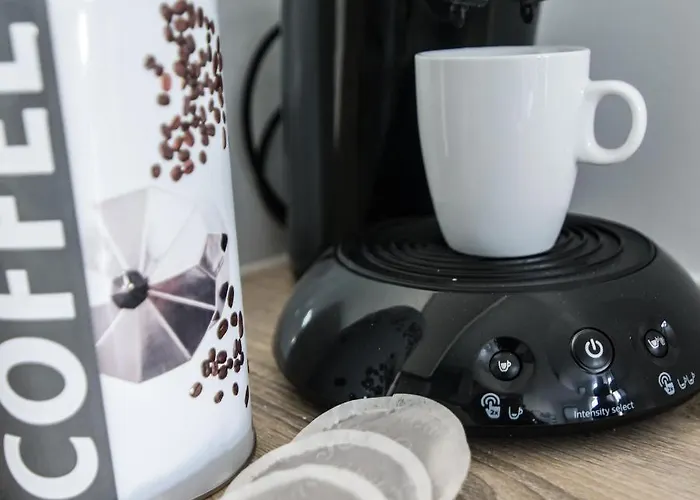 Le Palais Des Thermes * 南锡