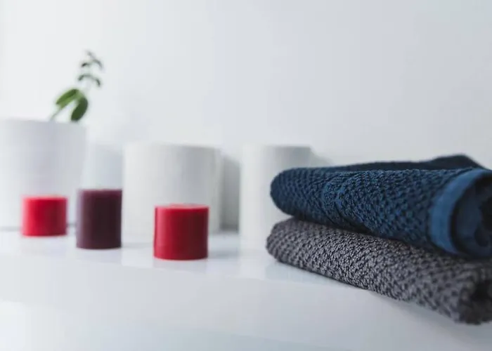 Le Palais Des Thermes *